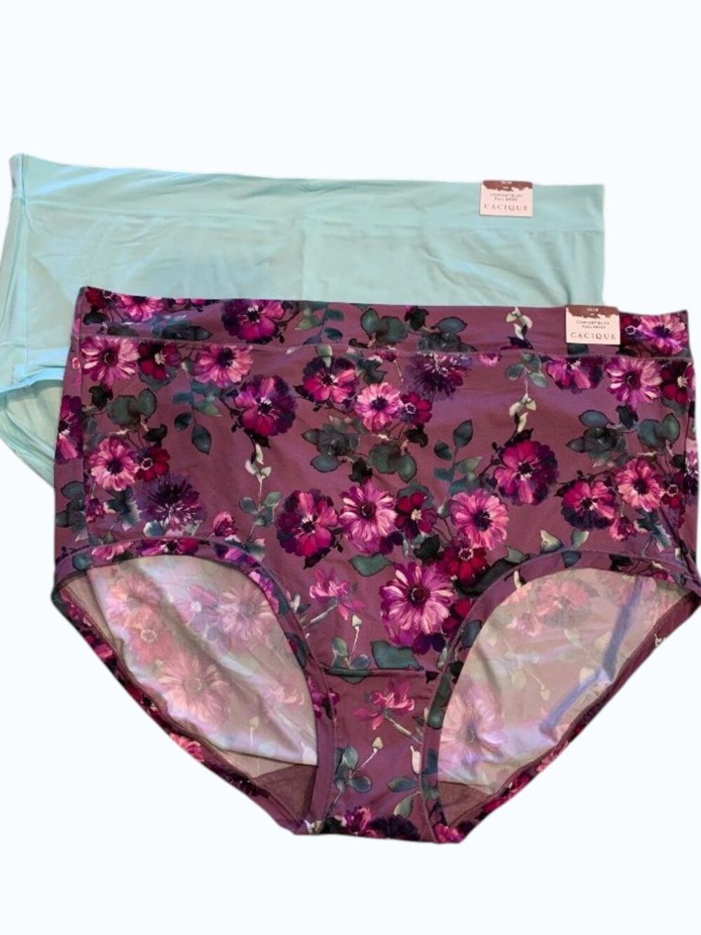 Lane Bryant 26/28 NWT Panties (2 pair) Comfort Bliss Brief